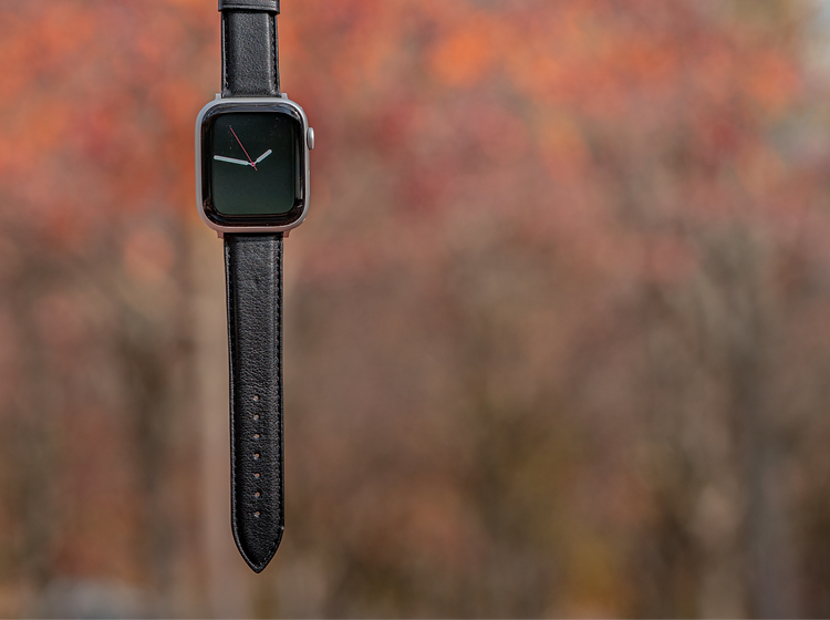 Bracelet Apple Watch en cuir lisse